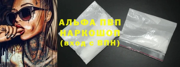сатива Белокуриха