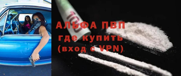 сатива Белокуриха