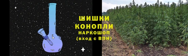 эйфоретик Белоозёрский