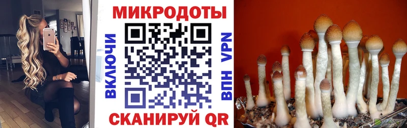 Псилоцибиновые грибы Psilocybine cubensis  Нея 